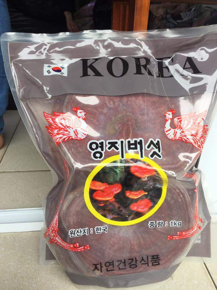 Nấm linh chi đỏ núi đá Hàn Quốc